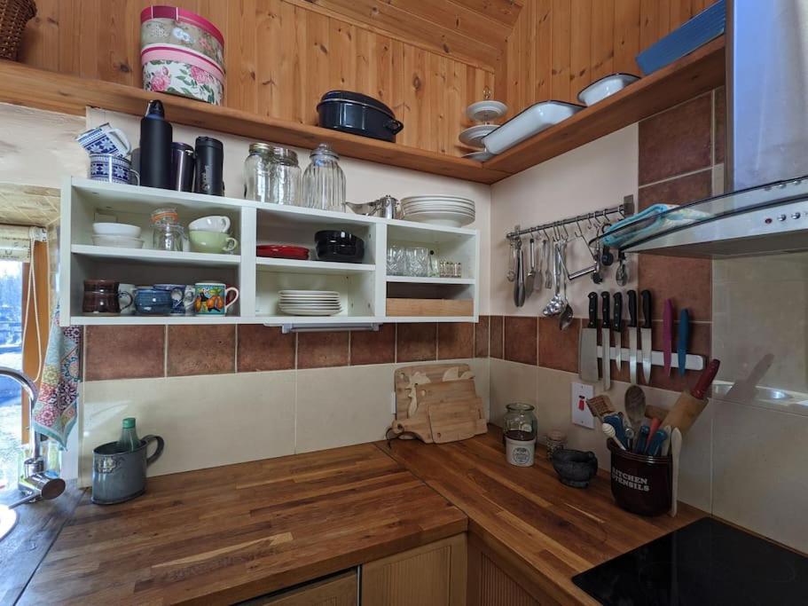 Secluded Private Cottage Hot-Tub, Sauna & Fire-Pit Carrick on Shannon Exteriér fotografie