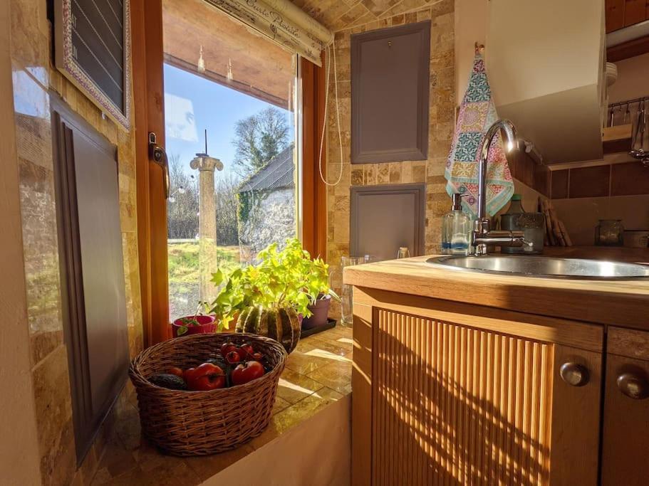 Secluded Private Cottage Hot-Tub, Sauna & Fire-Pit Carrick on Shannon Exteriér fotografie