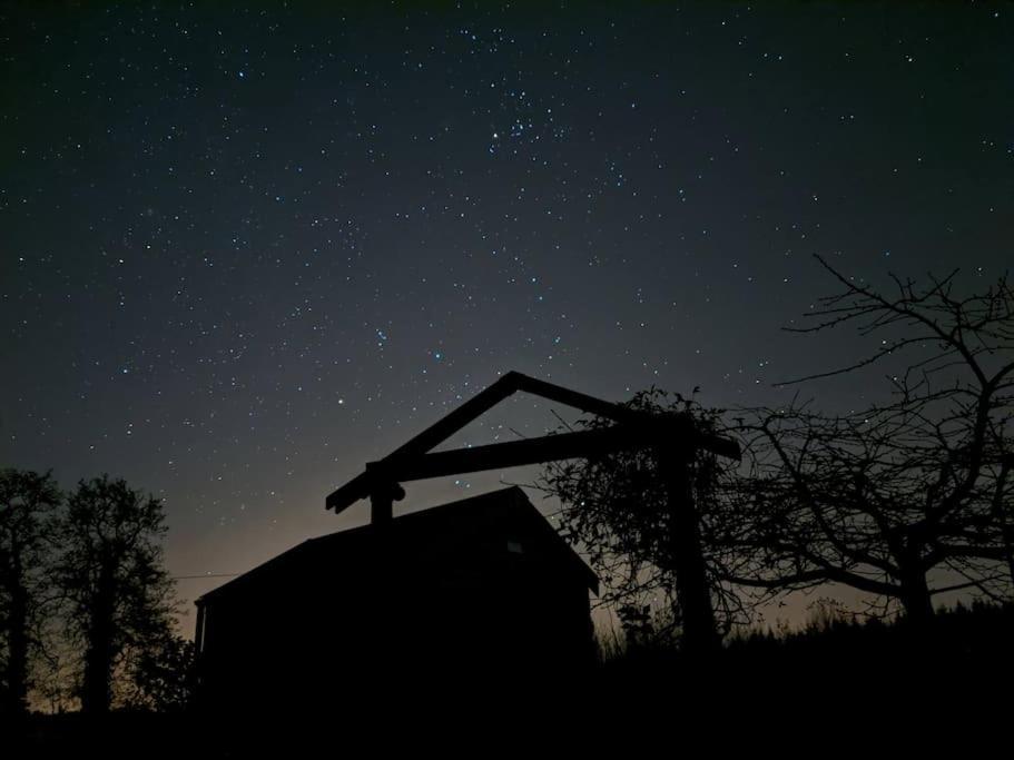 Secluded Private Cottage Hot-Tub, Sauna & Fire-Pit Carrick on Shannon Exteriér fotografie